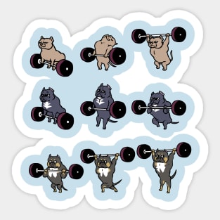 Olympic Lifting American Bulldog Sticker